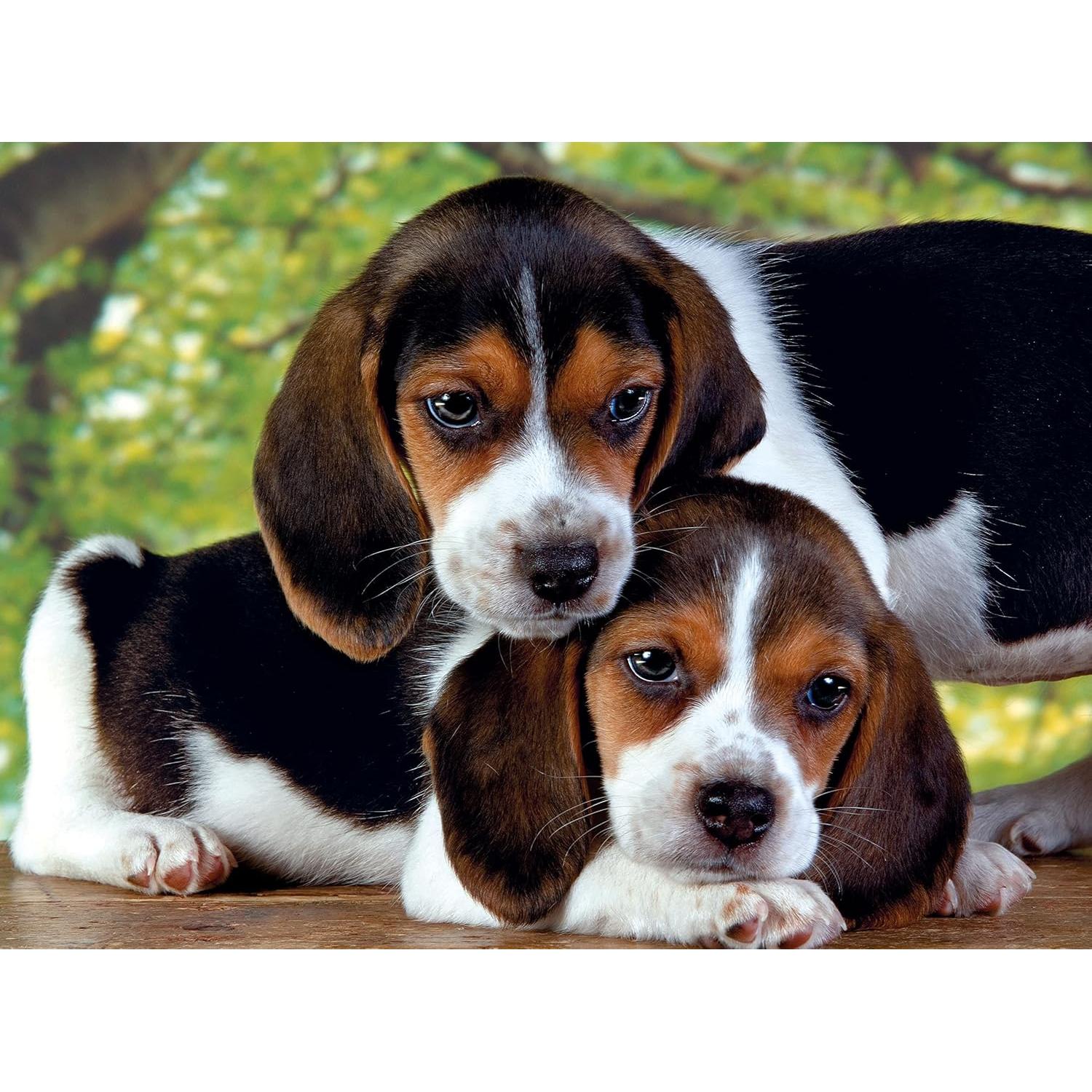 500pc Close Together Puzzle - Image 2