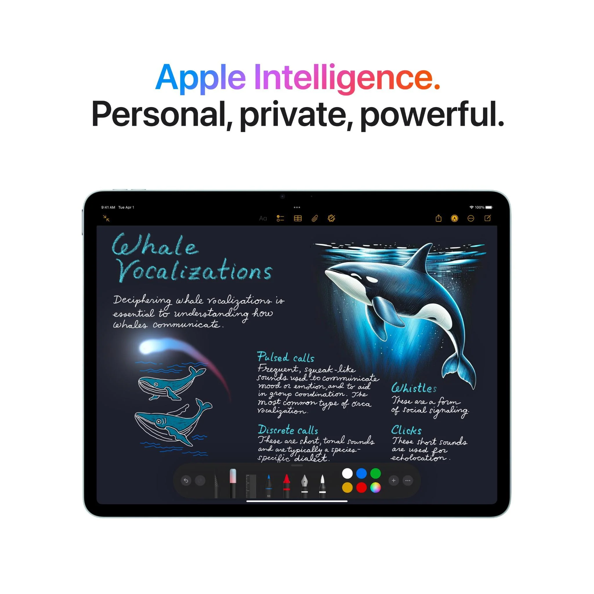 Apple iPad Air 13-inch M3 1TB Wi-Fi (Blue) - Image 5