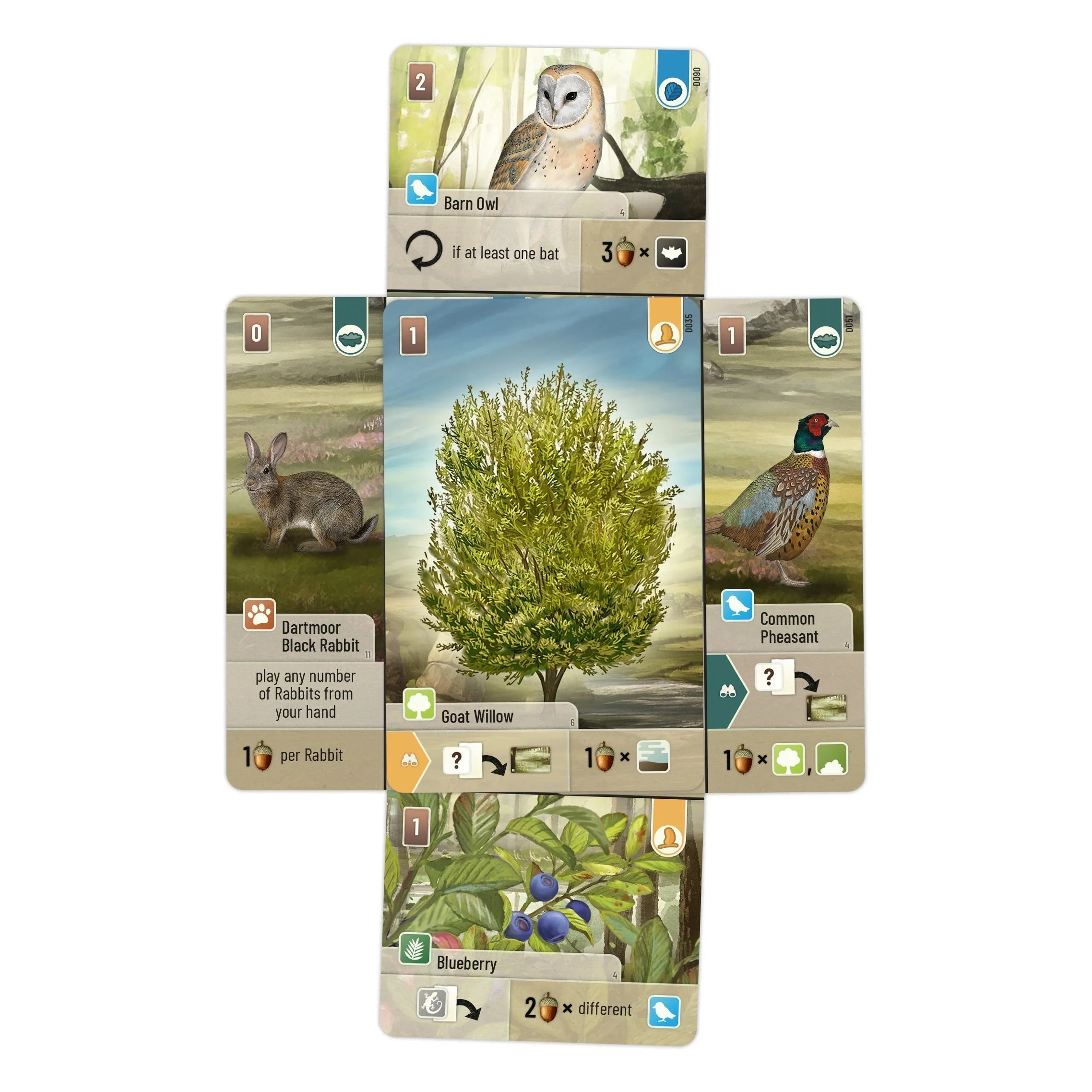 Asmodee Forest Shuffle Dartmoor Game - Image 3