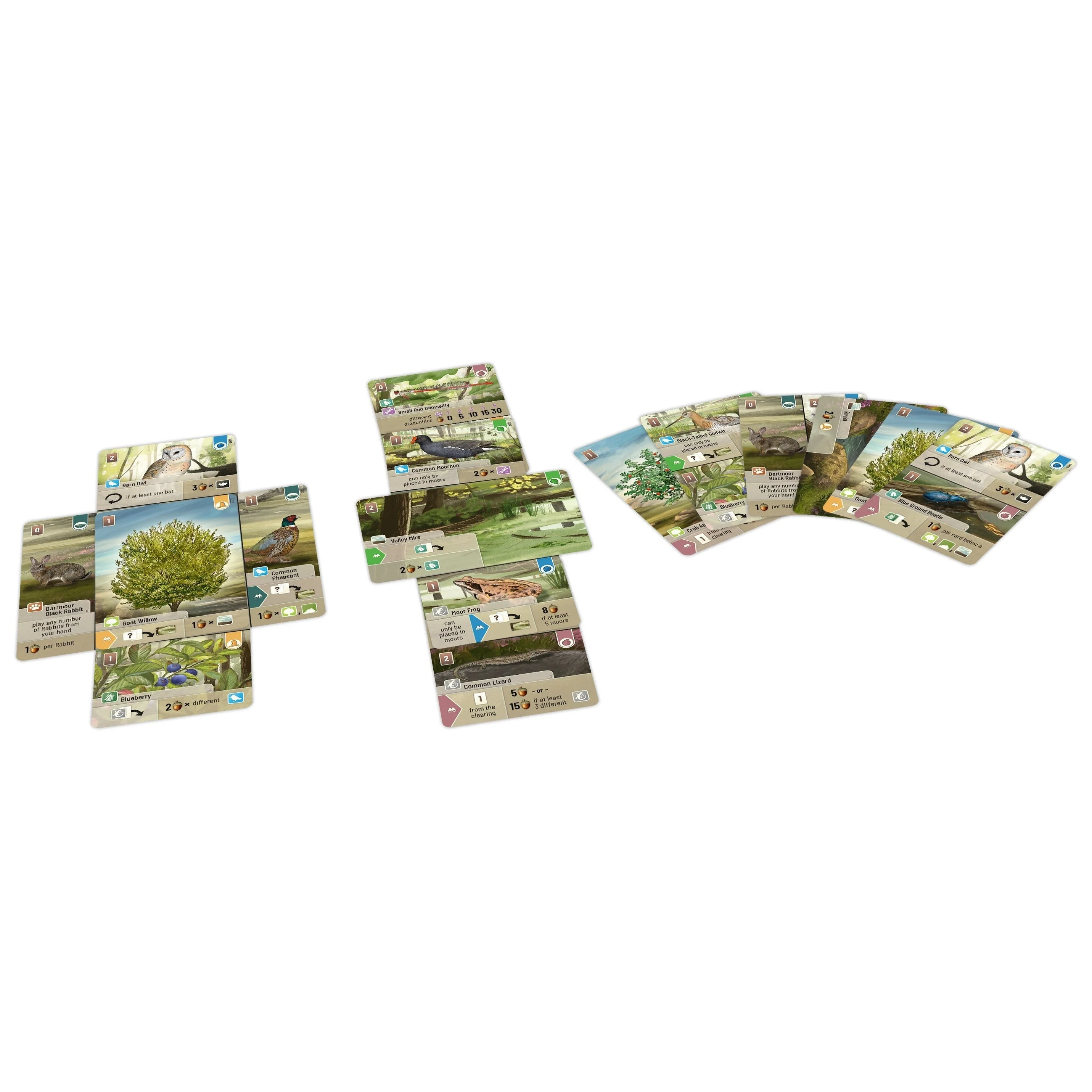 Asmodee Forest Shuffle Dartmoor Game - Image 5