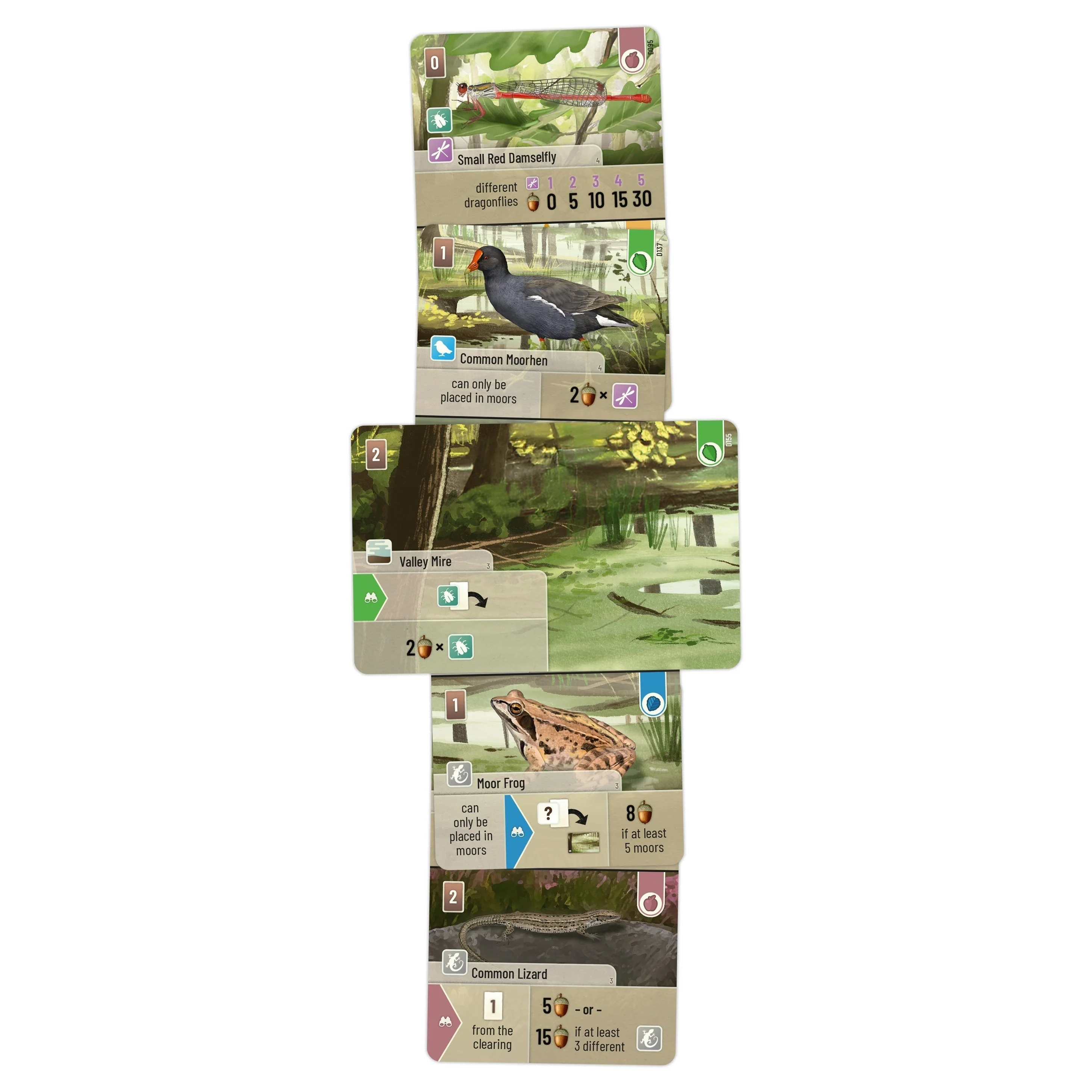 Asmodee Forest Shuffle Dartmoor Game - Image 6
