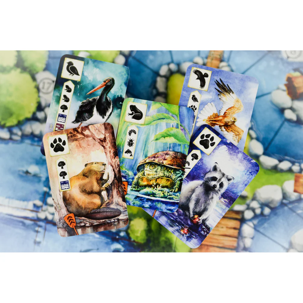 Asmodee Meadow Downstream Expansion Game - Image 7