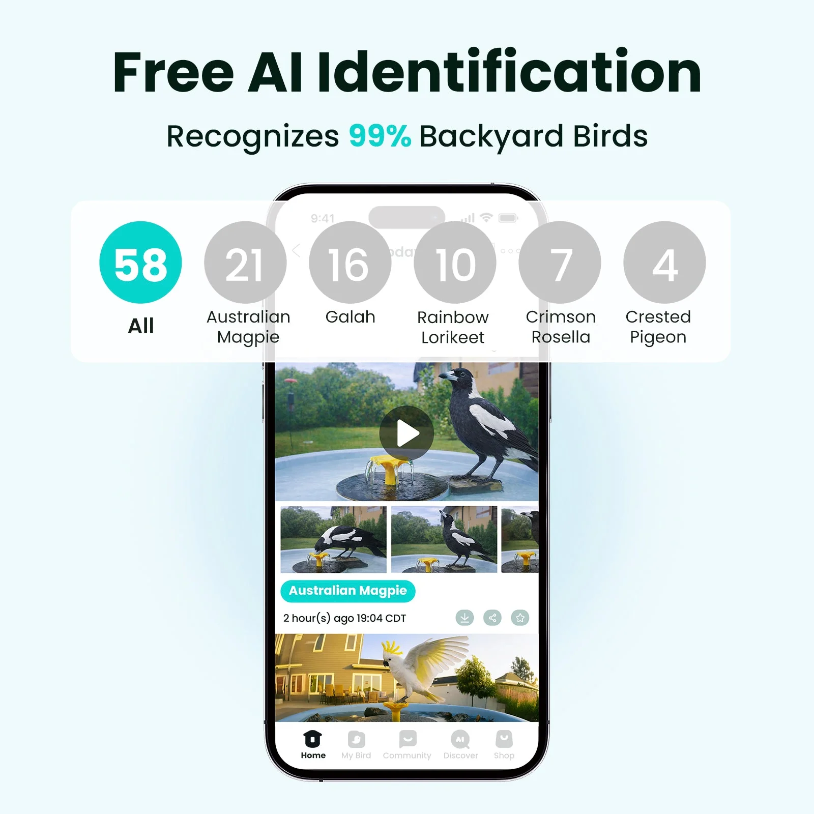 Birdfy Bath Pro AI Lifetime 
Free - Image 10