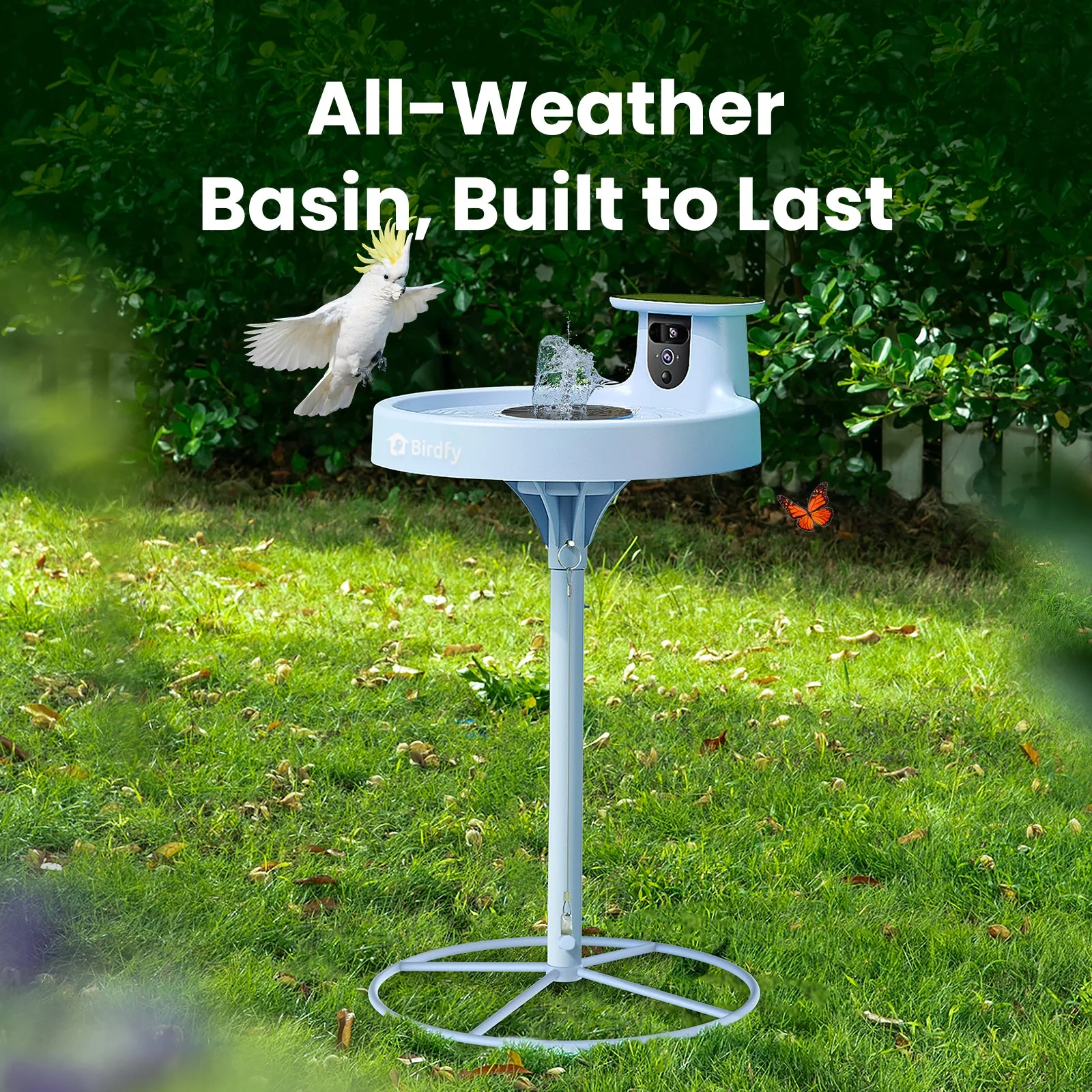 Birdfy Bath Pro AI Lifetime 
Free - Image 5