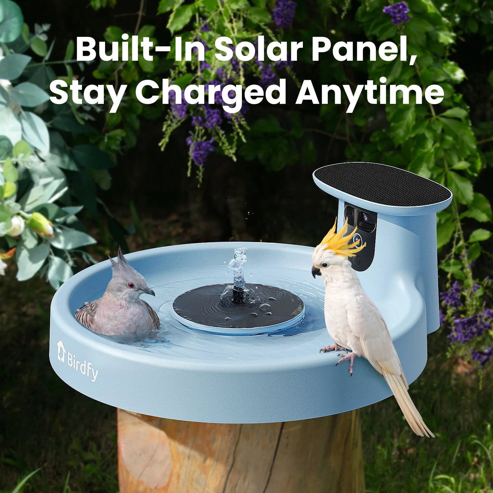Birdfy Bath Pro AI Lifetime 
Free - Image 6