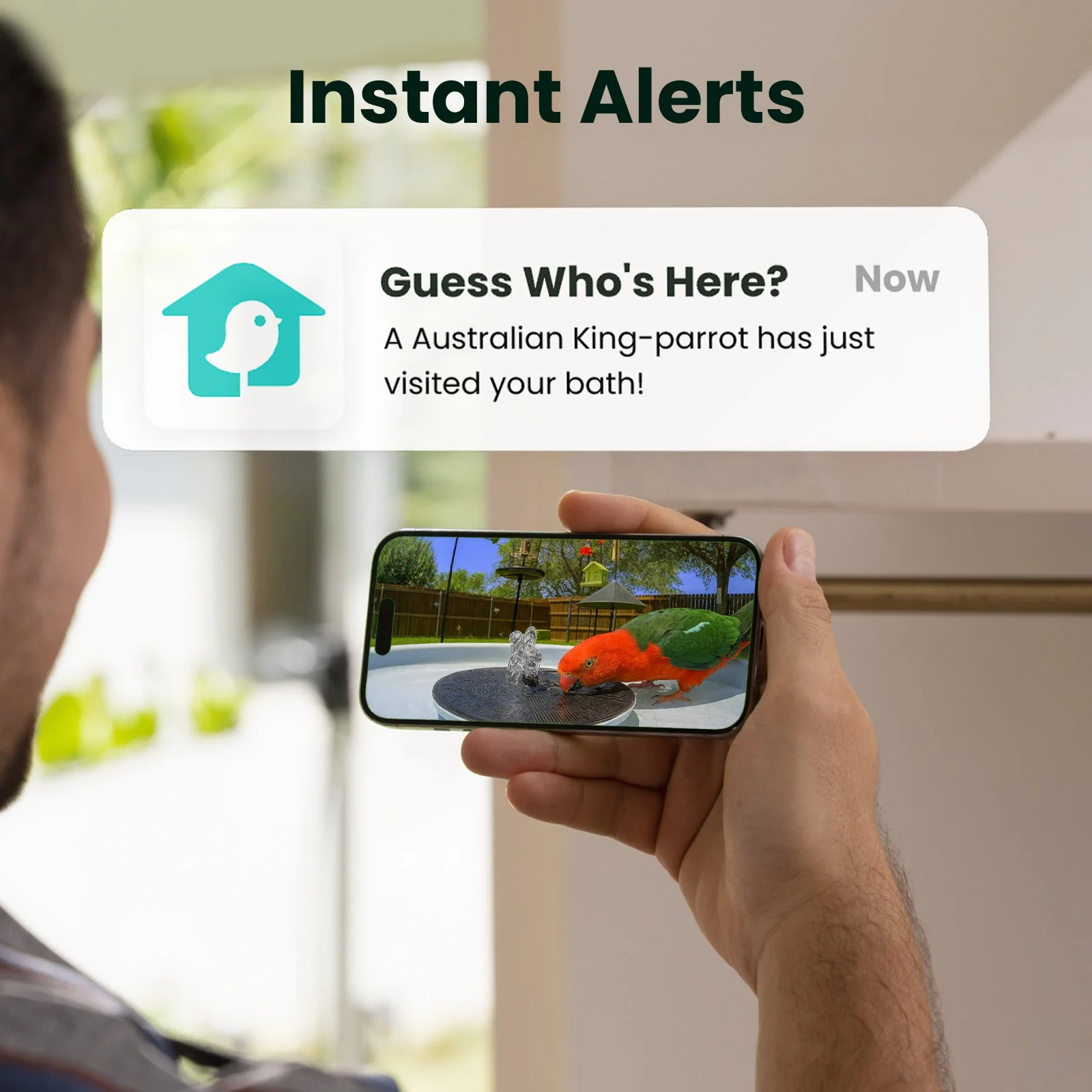 Birdfy Bath Pro AI Lifetime 
Free - Image 7