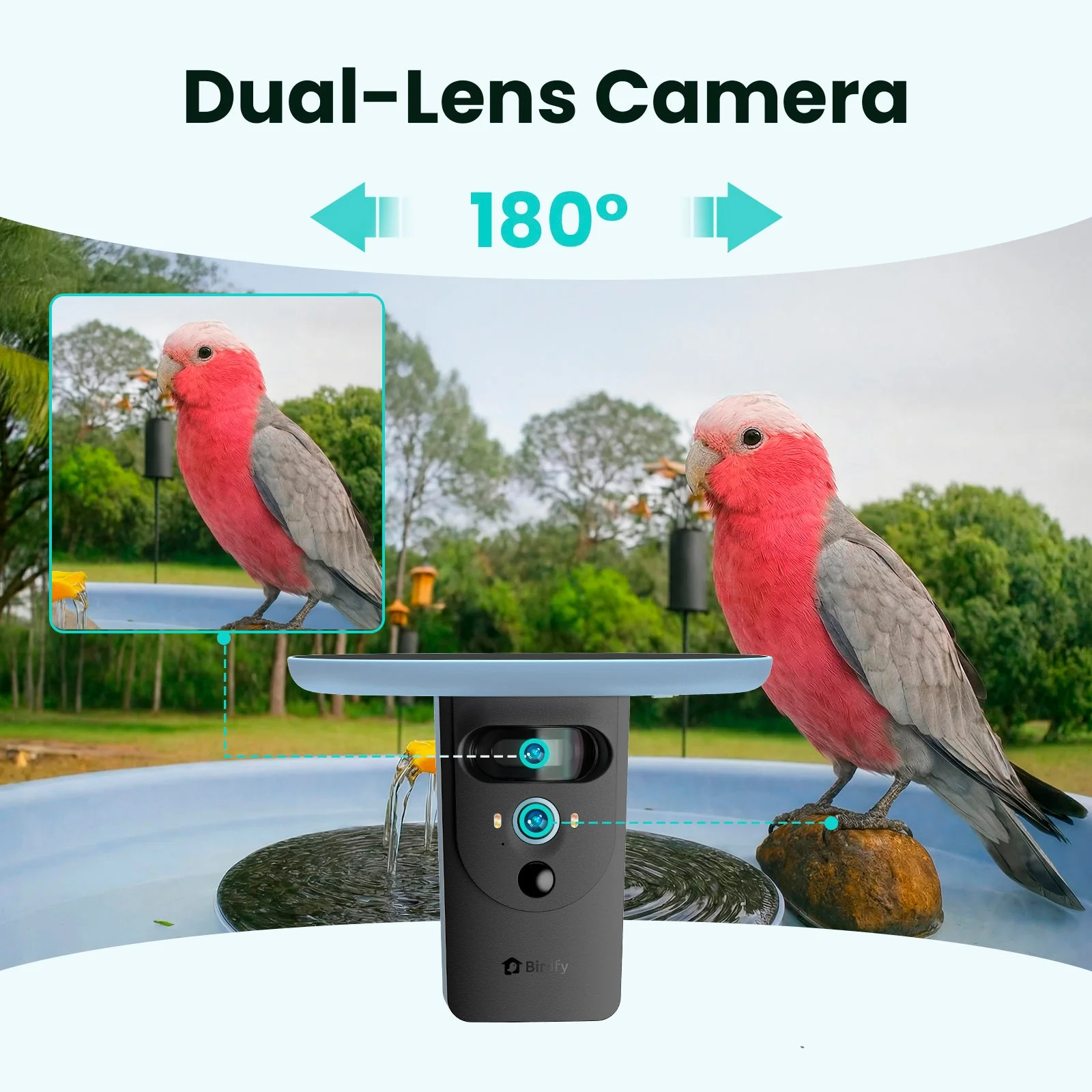 Birdfy Bath Pro AI Lifetime 
Free - Image 8