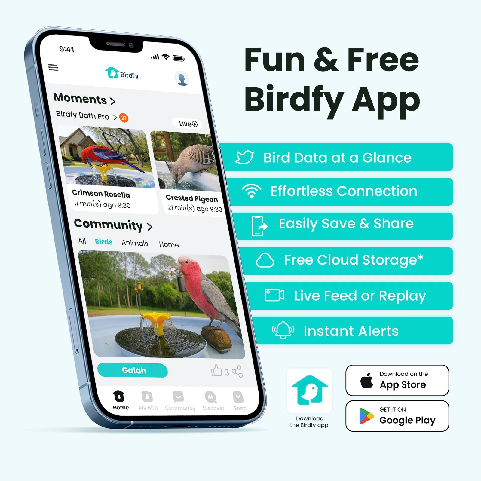 Birdfy Bath Pro AI Lifetime 
Free - Image 9