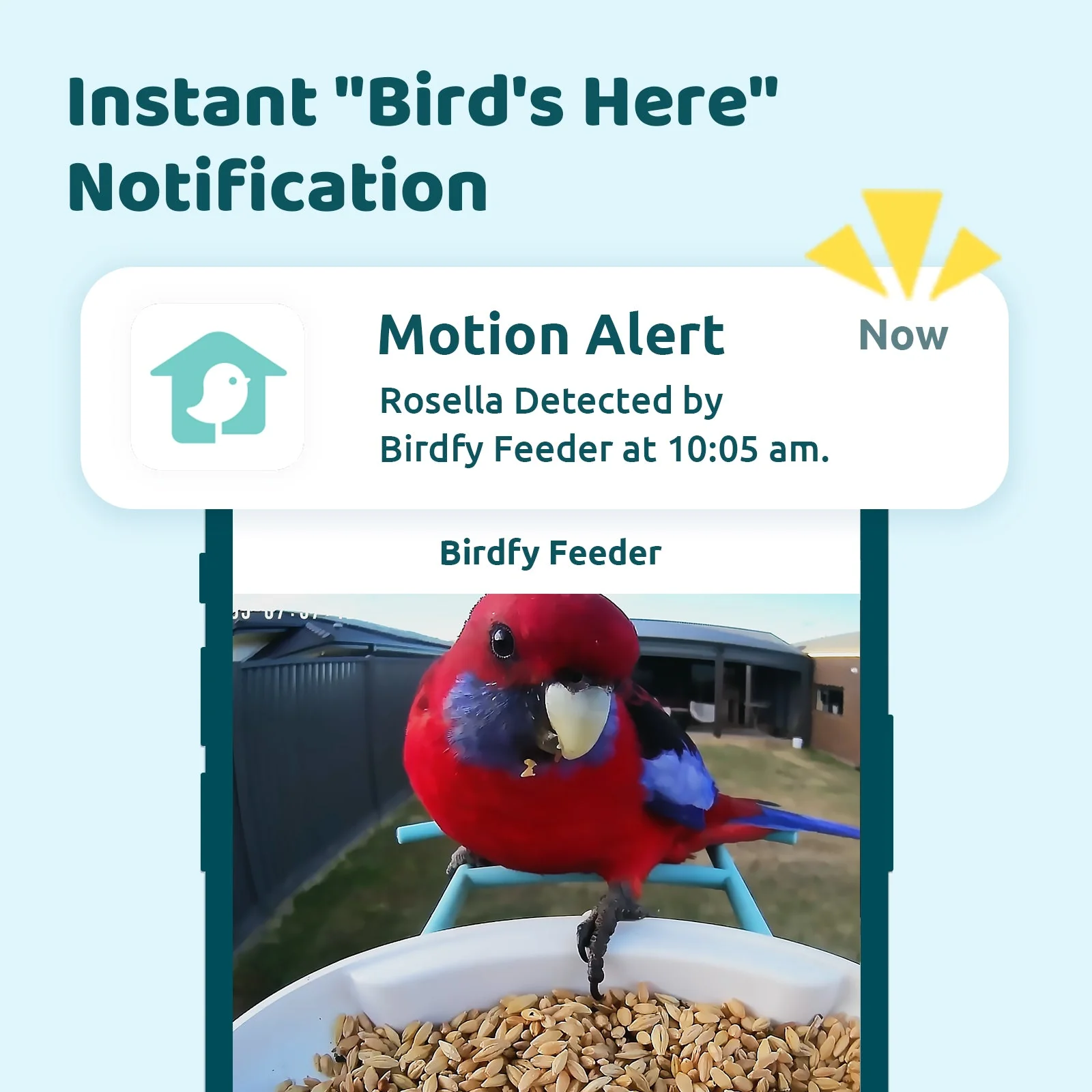 Birdfy Feeder AI Lifetime Free with Solar (Blue) - Image 3