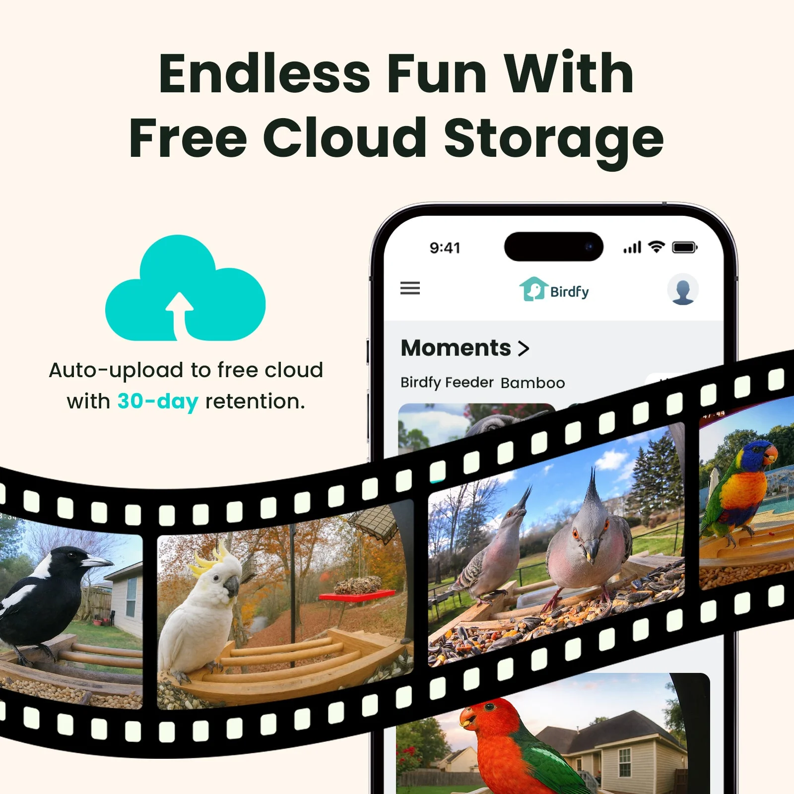 Birdfy Feeder Bamboo AI Lifetime Free with Solar - Image 3