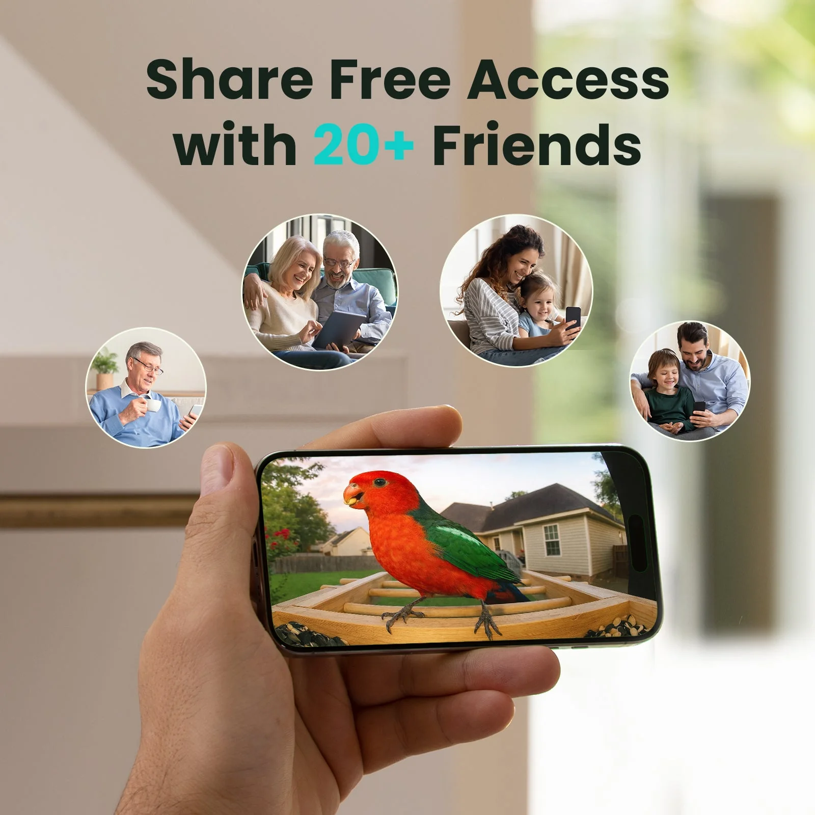 Birdfy Feeder Bamboo AI Lifetime Free with Solar - Image 9