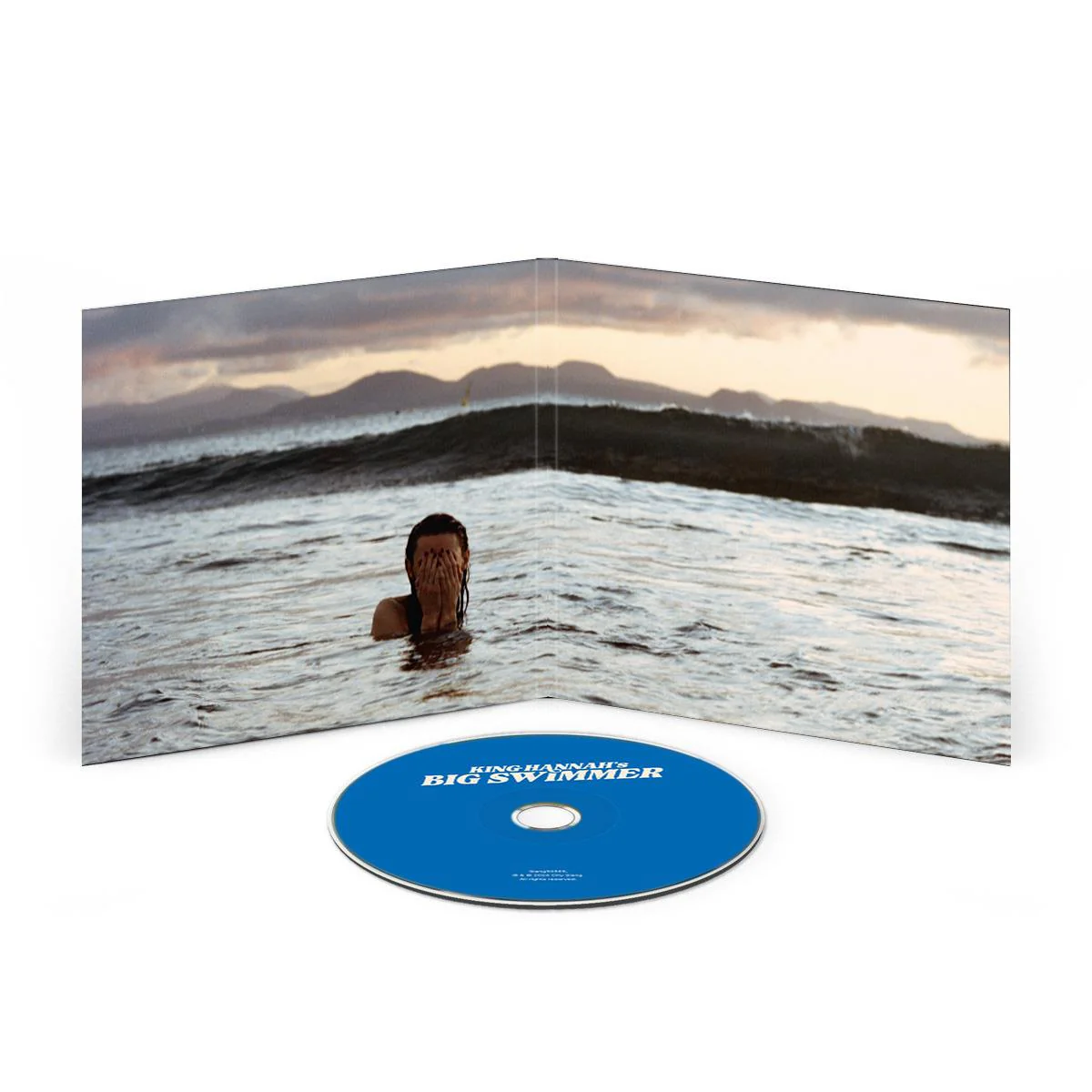 Big Swimmer - Image 2