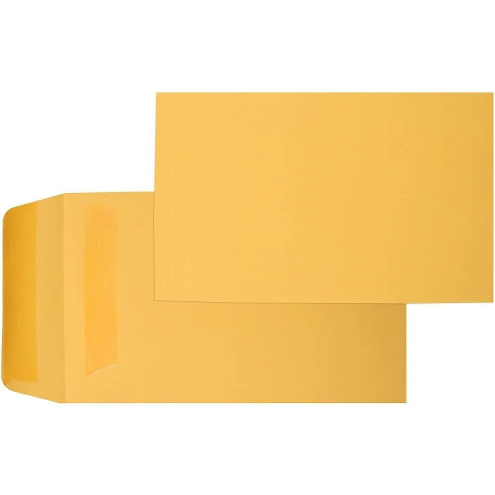 Cumberland Envelopes P6 Seed Pocket Self Seal 135x80mm Gold Box 1000 - Image 3