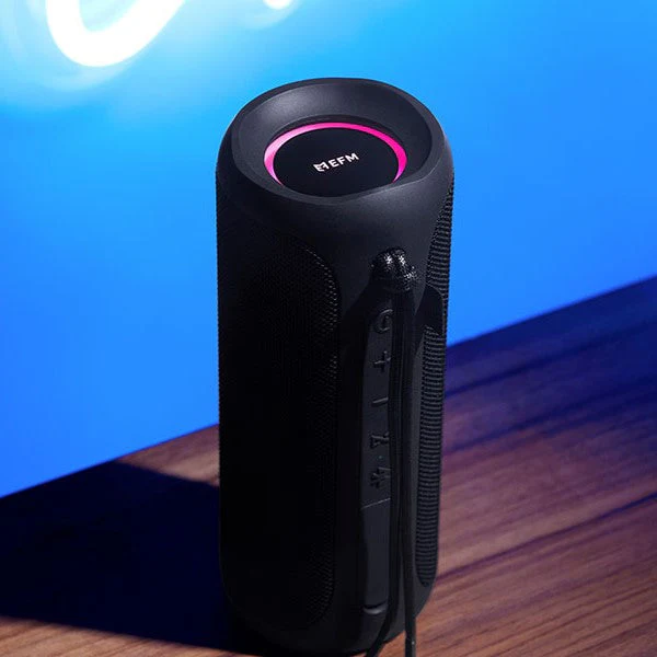 EFM Austin Pro 40W Bluetooth Speaker (Charcoal Black) - Image 6