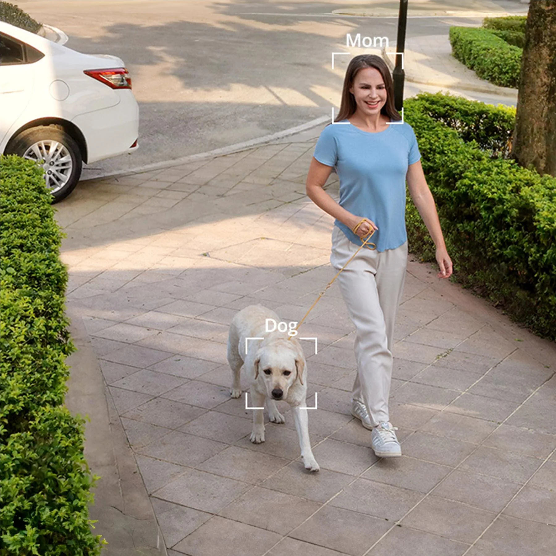 eufy Security Solocam S220 with Homebase (2 Pack) - Image 7