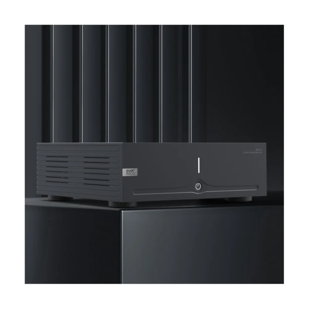 Eversolo AMP-F2 2ch Class D Power Amplifier - Image 10
