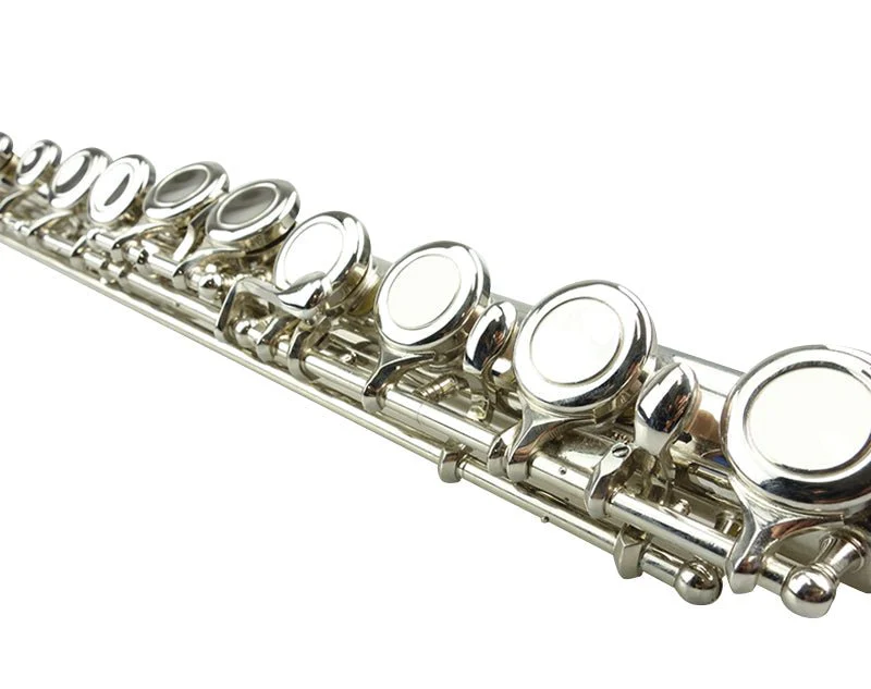 Freedom  16-Key C Flute Nickel Plated Student Beginner Hard Case - Image 2