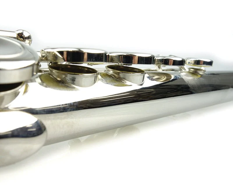 Freedom  16-Key C Flute Nickel Plated Student Beginner Hard Case - Image 3