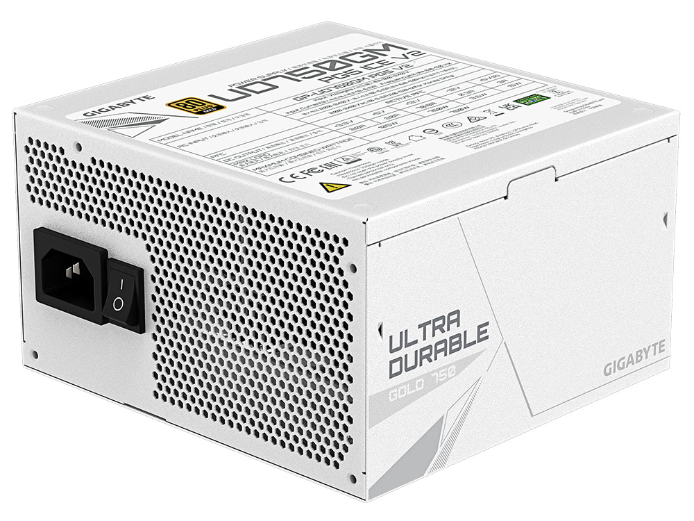 GIGABYTE UD750GM PG5 750W 80+ Gold Fully Modular ATX 3.0 Power Supply (Ice) - Image 3