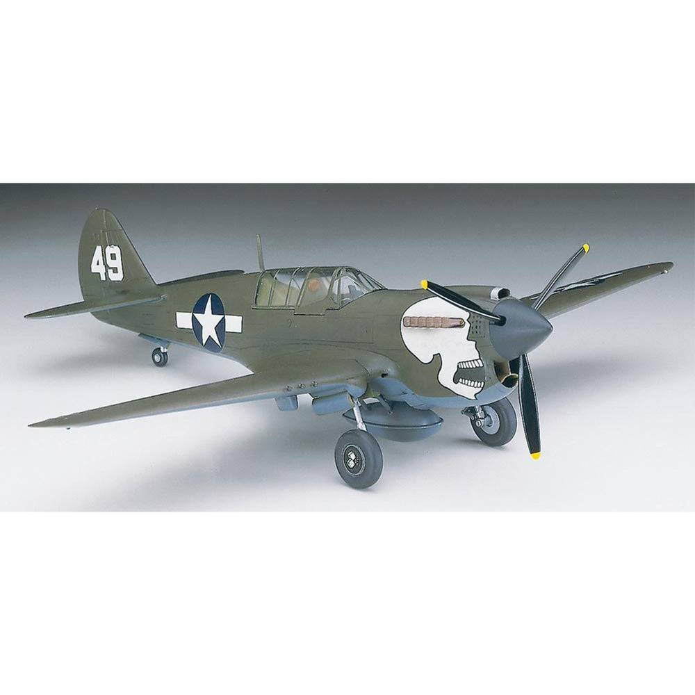 Hasegawa 1/72 P-40N Warhawk - Image 3