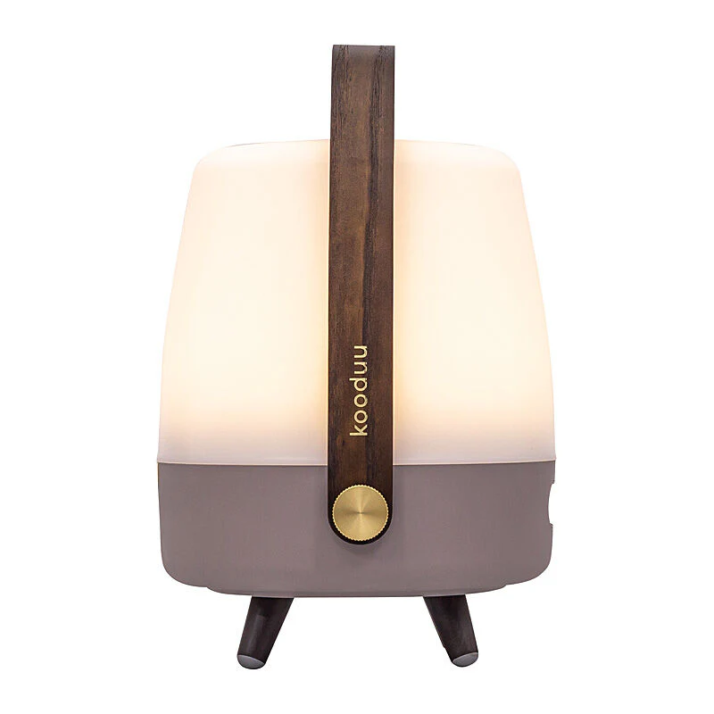 Kooduu Lite-up Play Mini JBL Speaker Earth - Image 3