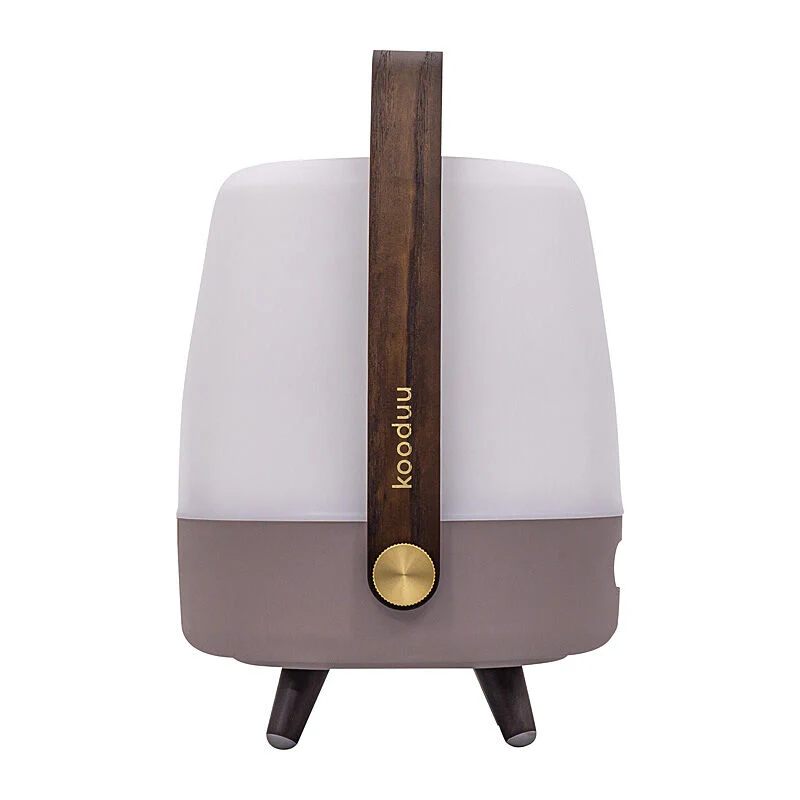 Kooduu Lite-up Play Mini JBL Speaker Earth - Image 6