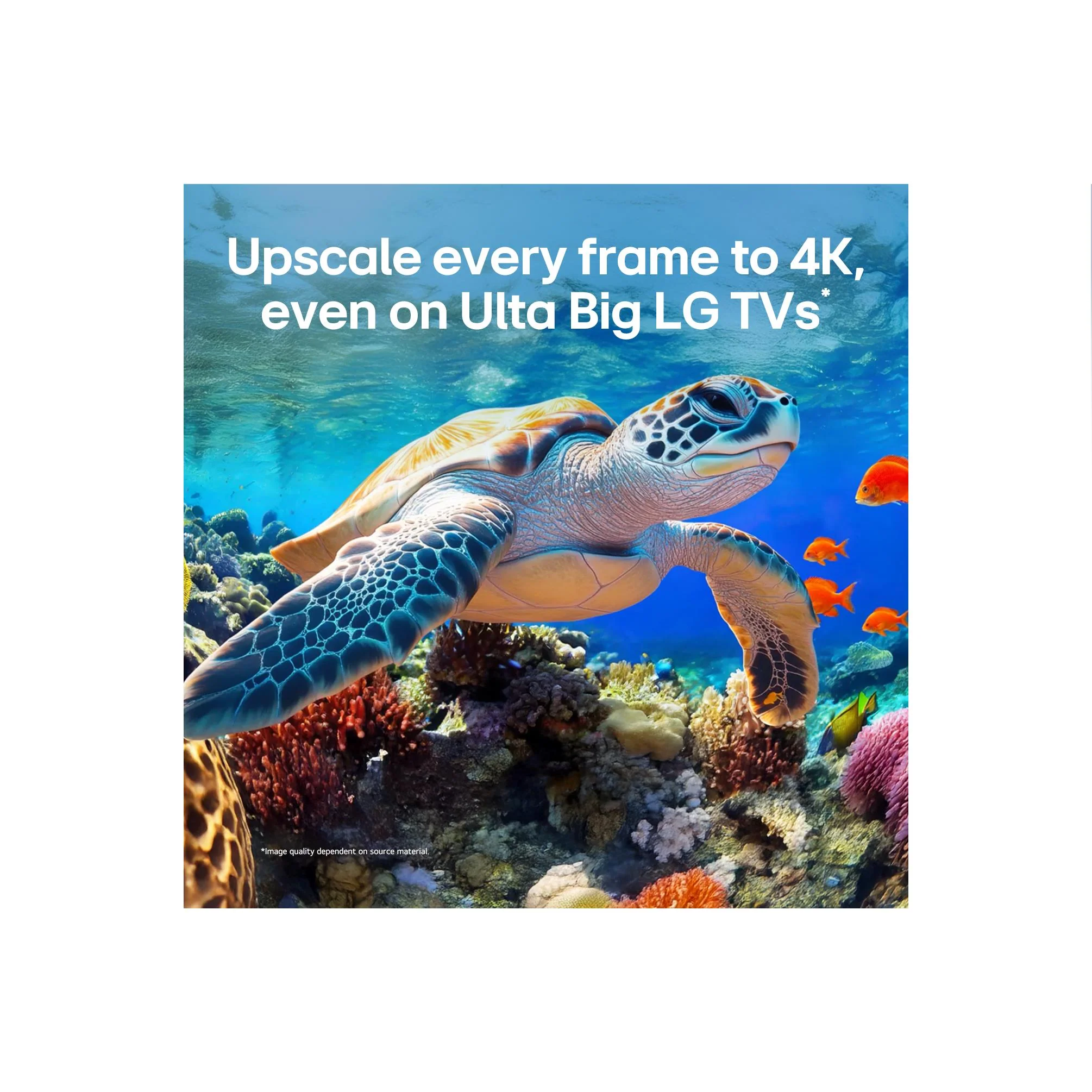 LG 75" QNED86B EVO AI Mini-LED 4K Smart TV [2026] - Image 8