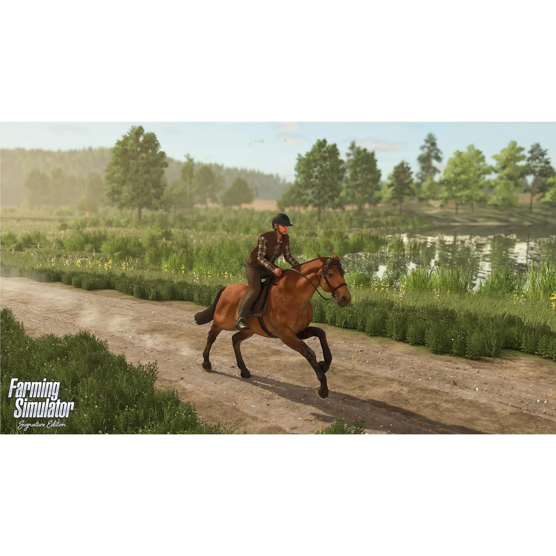 Farming Simulator: Signature Edition - Image 6