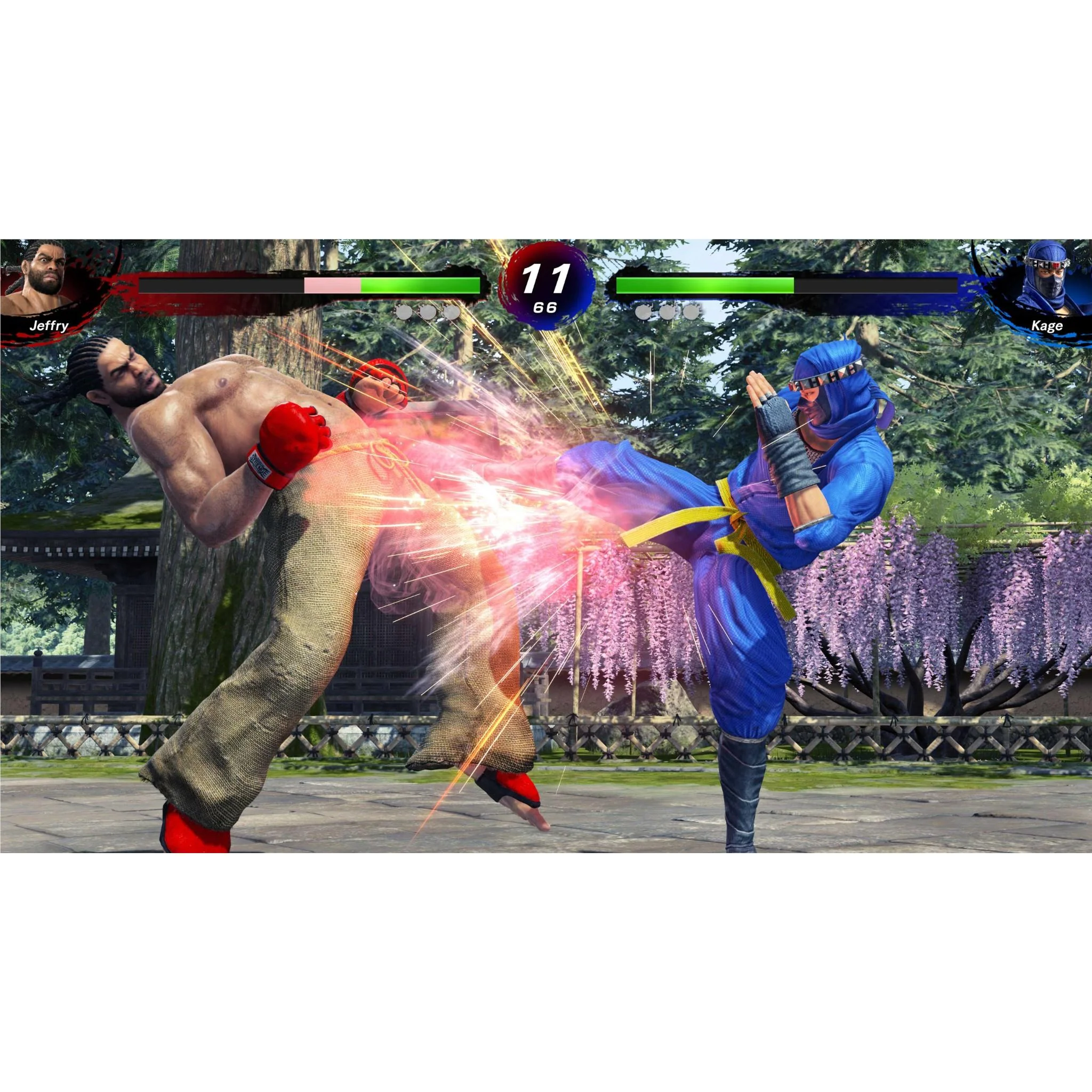 Virtua Fighter 5 R.E.V.O. World Stage 30th Anniversary Edition - Image 5