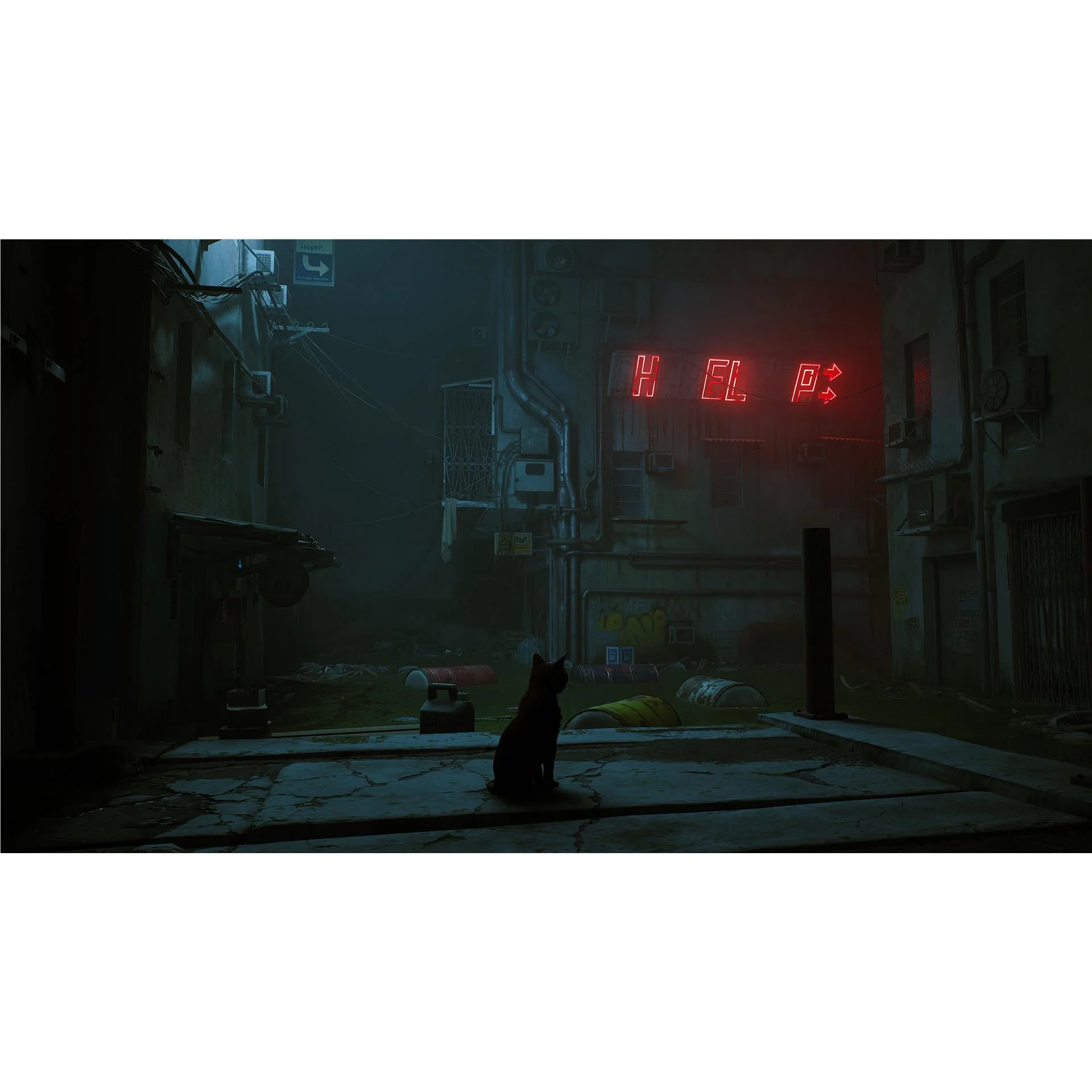 Stray - Image 6