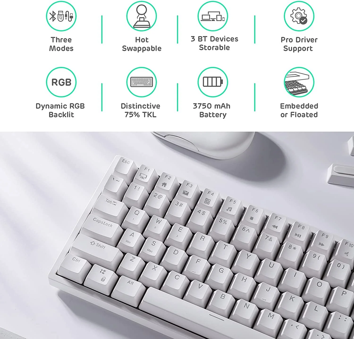 Royal Kludge RK84 RGB Tri Mode Hot-Swappable Mechanical Keyboard (White with Blue Switch) - Image 2