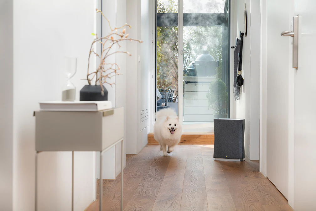 Stadler Roger Little Air Purifier - Image 5