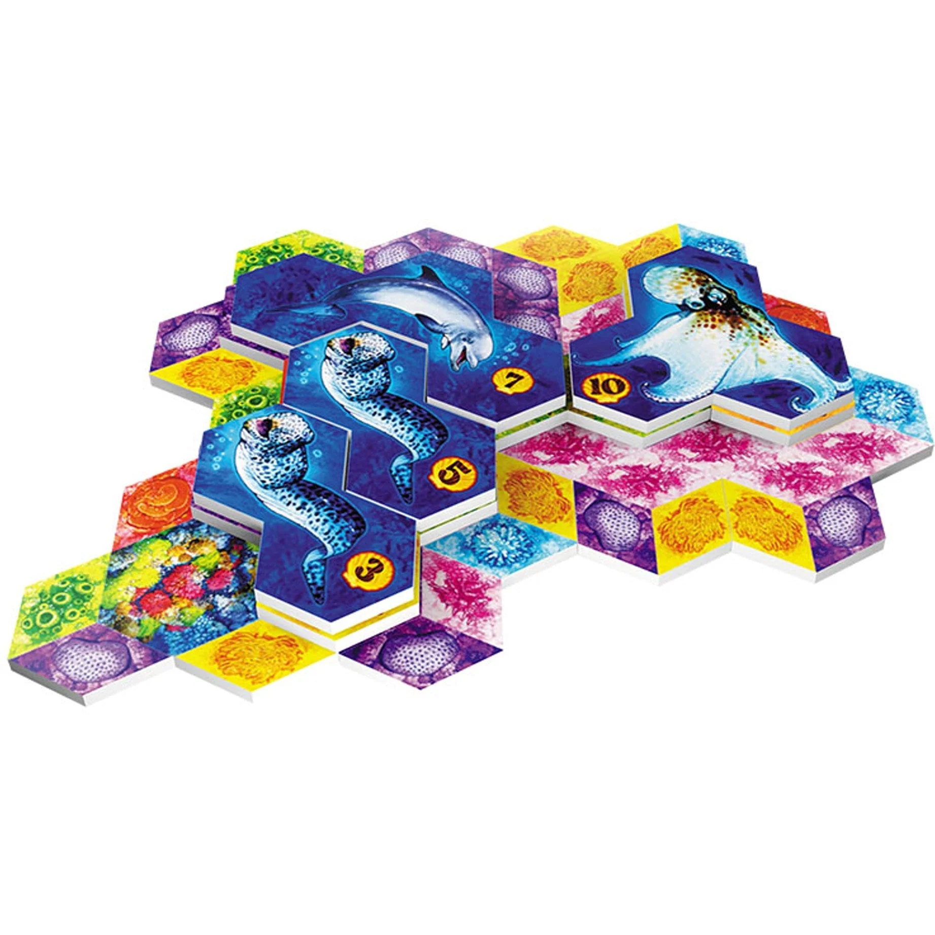 The Op AQUA Game - Image 4
