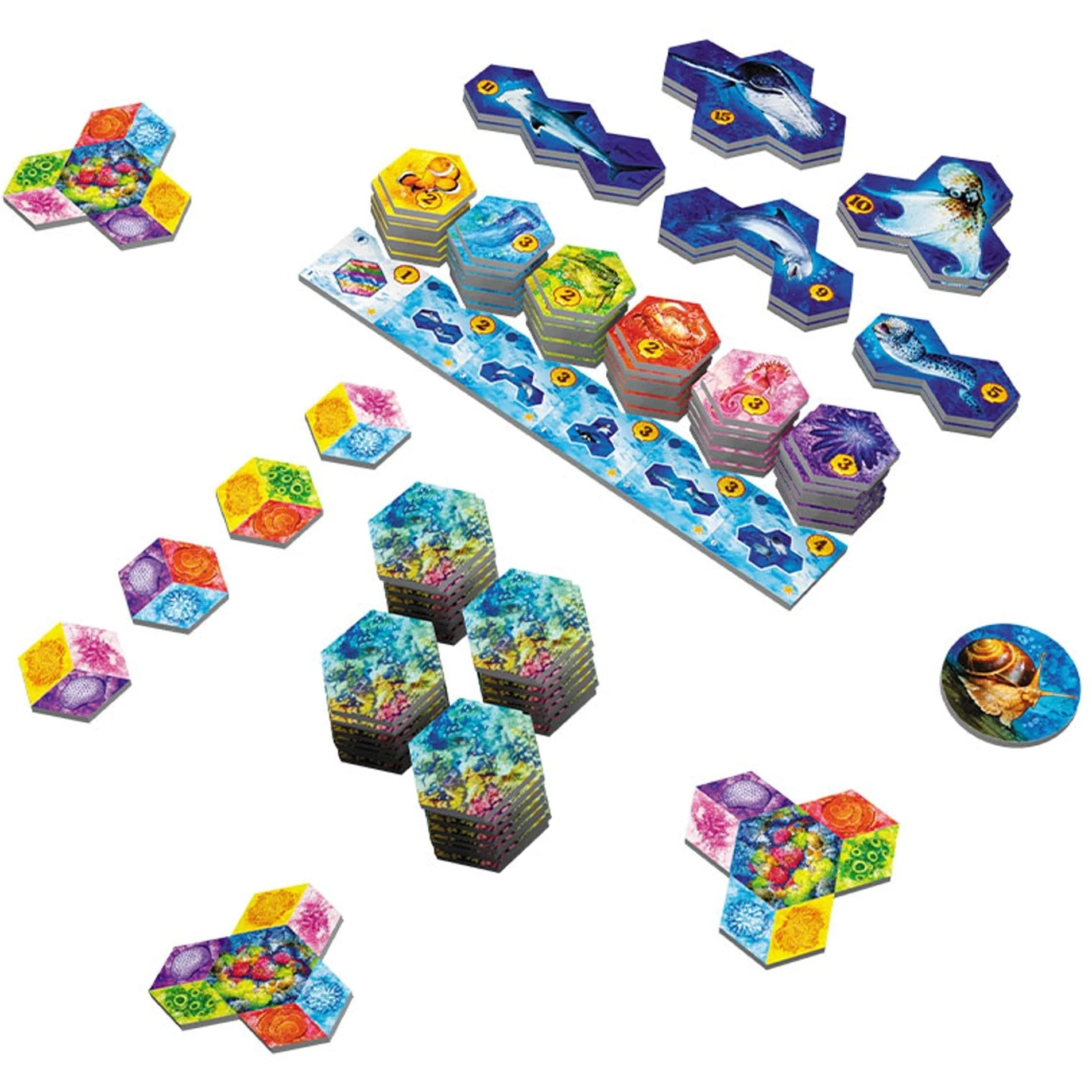 The Op AQUA Game - Image 6