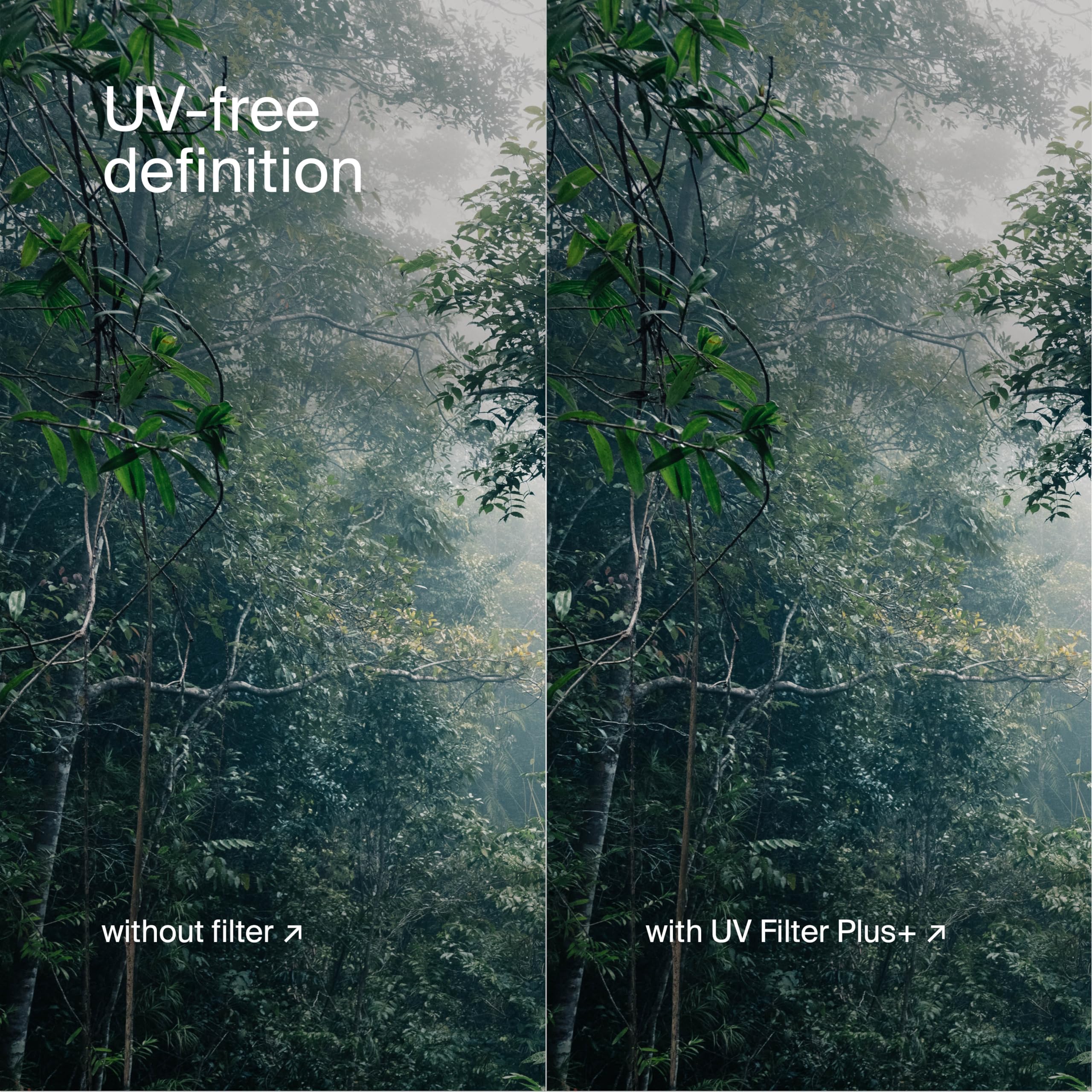 Urth 52mm UV Lens Filter - Image 6