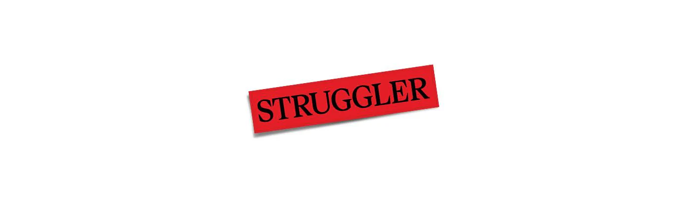 STRUGGLER (Vinyl) - Image 2