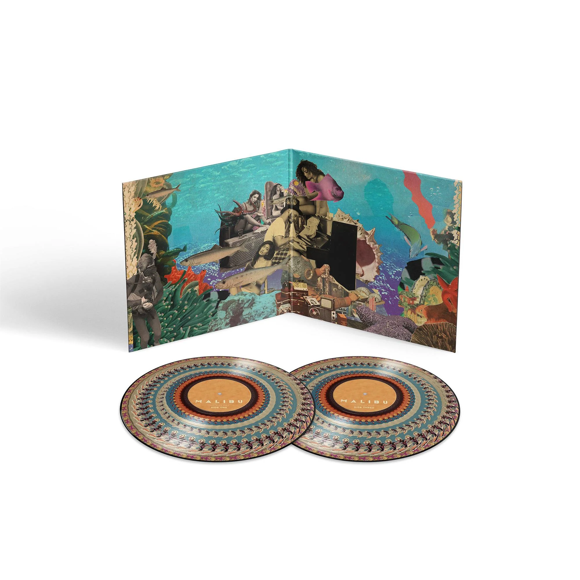 Malibu (10th Anniversary Edition Zoetrope Vinyl) - Image 2