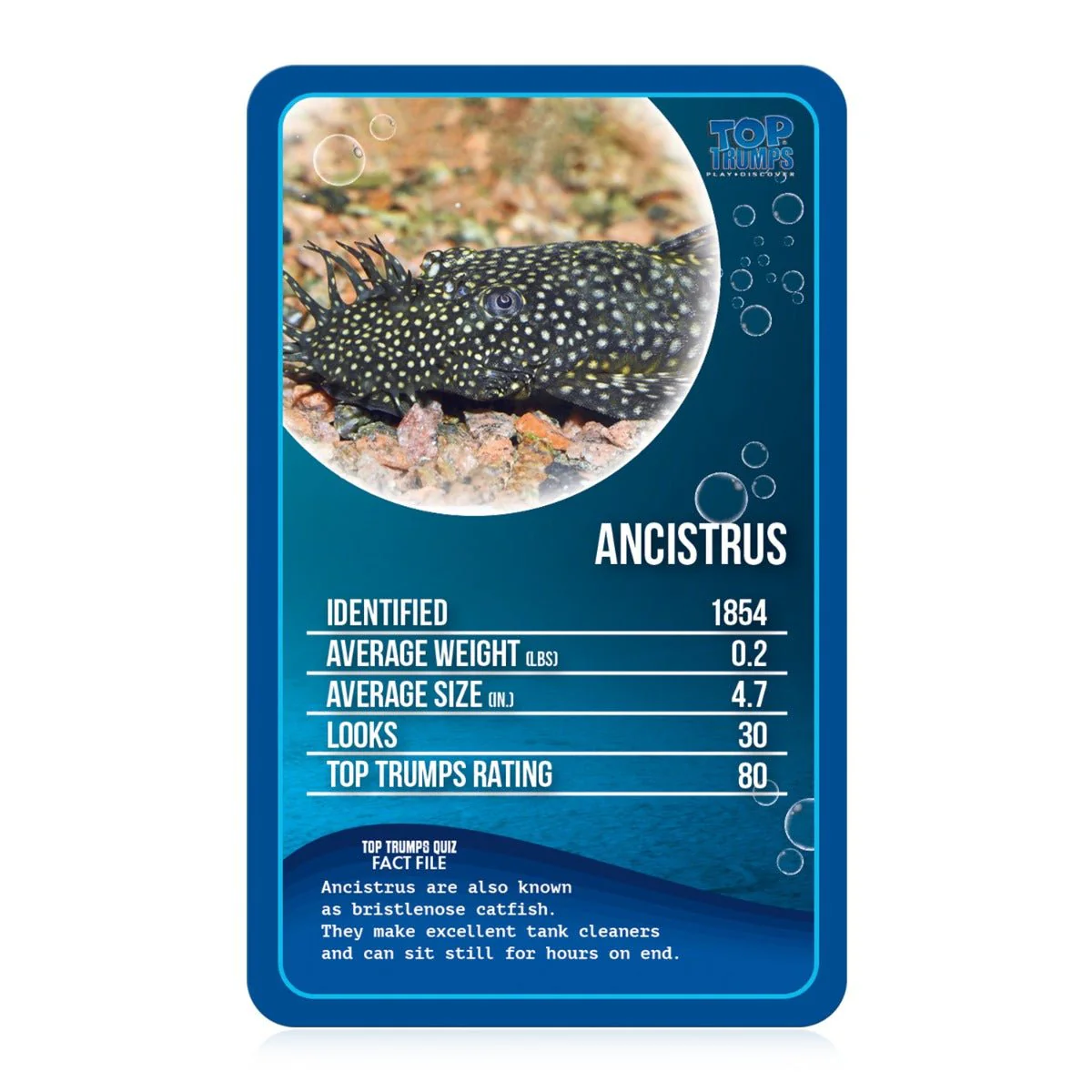 Winning Moves Top Trumps: Freshwater Fish Board Game - Image 4