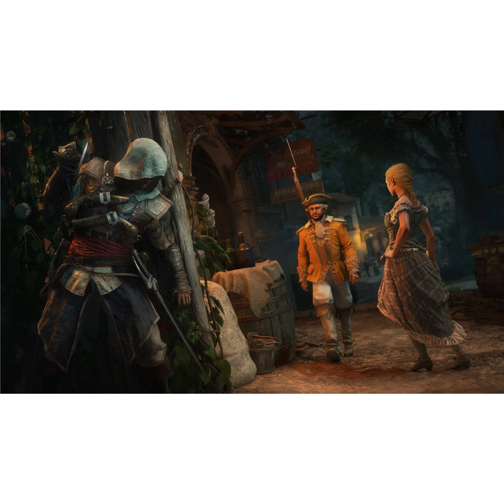 Assassin's Creed Black Flag ReSynced - Image 6