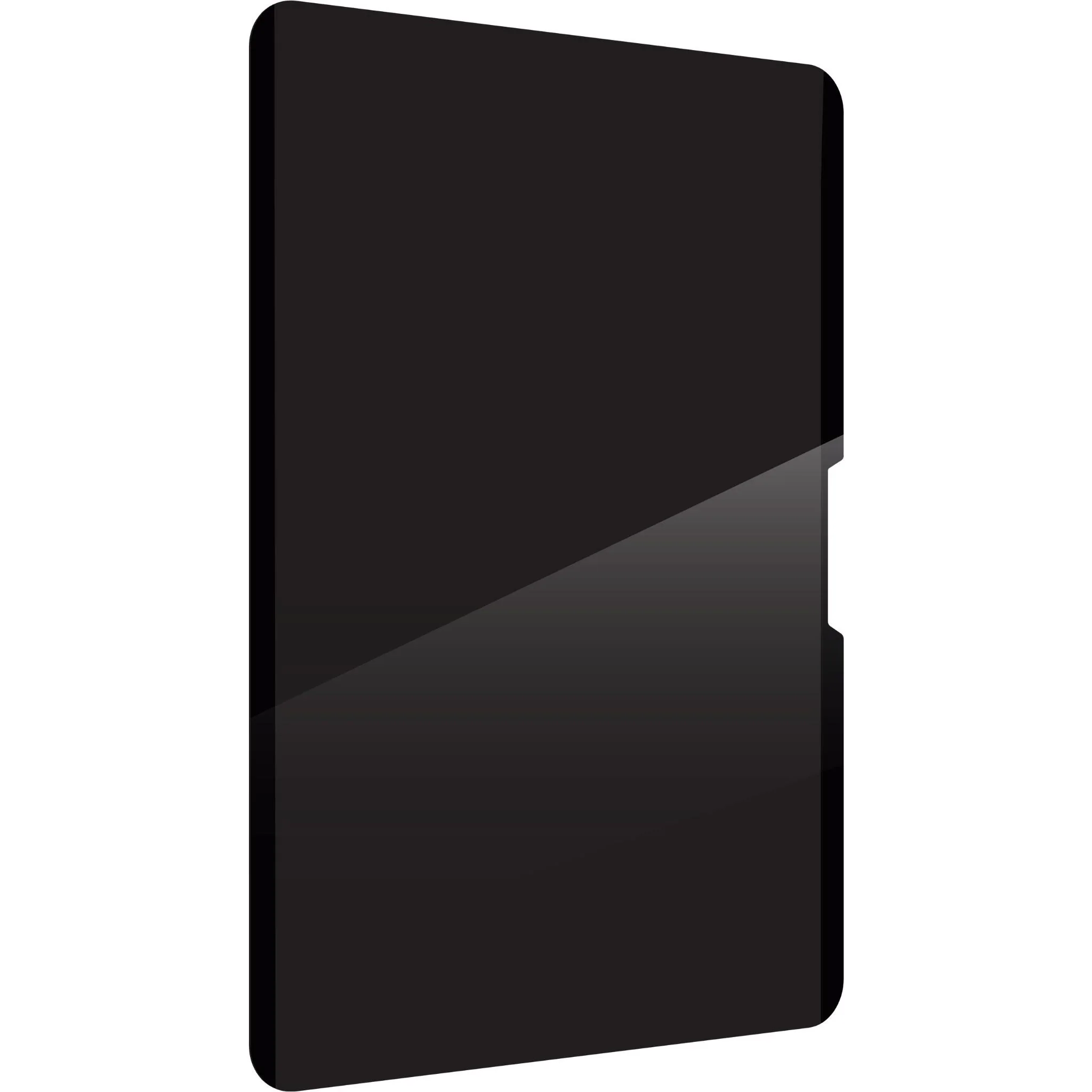 ZAGG Removable 4-Way Privacy Filter for Apple iPad Pro 13" (M5/M4) & iPad Air 13” (M4/M3/M2) - Image 2